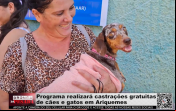 Programa realizará castrações gratuitas de cães e gatos em Ariquemes – Vídeo