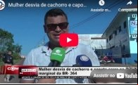 Mulher desvia de cachorro e capota carro na marginal da BR–364