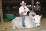 3ª Dia da 34ª Expoari