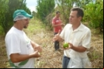 ARIQUEMES:Técnicos da Semed e Banco de Alimentos fazem visita à agroindústria de Ariquemes