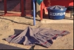 Usuário de drogas é morto enquanto dormia na calçada de comércio, no bairro Primavera