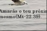 SE A VERDADE NÃO É, NADA EXISTE