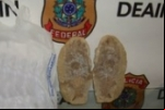 PF prende estrangeiro ao tentar embarcar com fóssil de peixe no RJ