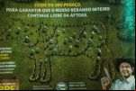 Rondônia pretende vacinar 13,1 milhões de cabeças de gado contra febre aftosa