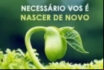 PORQUE DEVEMOS NASCER DE NOVO – Consequência da Desobediência.
