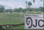 JARU – PECUARISTA OFERECE R$ 20 MIL DE RECOMPENSA PARA RECUPERAR 57 CABEÇAS DE GADO FURTADAS