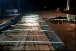 Em Humaitá/AM PRF intensifica enfrentamento aos crimes ambientais
