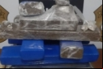 Polícia Civil fecha “Boca de Fumo” e apreende 8 Kg de Maconha, munições, balanças de precisão e apetrechos para o Tráfico em Porto Velho–RO