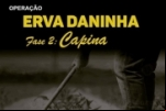 Polícias Civil de Ariquemes e Jaru deflagram Operação Erva Daninha Fase 2 – Capina para localizar restos mortais em fazenda