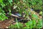 Motocicleta é recuperada pela Polícia Militar em Monte Negro