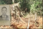 TRABALHADOR MORRE DURANTE DERRUBADA DE ÁRVORE NA ZONA RURAL DE MACHADINHO D’OESTE