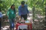 Adelino Follador participa do Dia de Campo em Cacaulândia