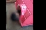 Jovem bêbado perde rumo de casa em RO e é flagrado dormindo em casinha de cachorro