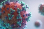 ALERTA: Rondônia acumula 8.212 novas infecções por Covid–19 e 16 óbitos em menos de 30 dias