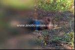 Polícia Militar localiza corpo com indícios de espancamento e provável início de carbonização