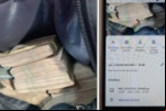 Polícia Federal deflagra Operação Raio–X contra o tráfico interestadual de drogas