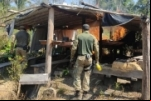 PF deflagra operação em combate aos invasores de terras indígenas em Rondônia – Vídeo 