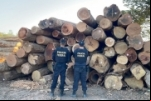Polícia Federal realiza operação para combater falsificação de documentos ambientais em sistemas oficiais do governo