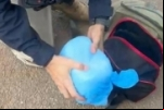 Em Porto Velho/RO, PRF apreende 10 kg de substância análoga à maconha
