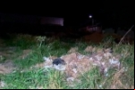 NA MADRUGADA: Em Porto Velho criminoso agride e tenta arrastar jovem para cometer abuso em terreno baldio