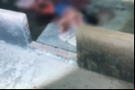 Homicídio na Rua Colibri: Mulher encontrada gravemente ferida em casa morre no hospital após ser socorrida – Suspeito está preso