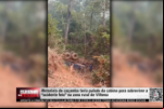 Motorista de caçamba teria pulado da cabine para sobreviver a acidente feio na zona rural de Vilhena – Vídeo