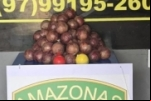 Polícia apreende 16 Kg de drogas escondidas em cebolas falsas no Amazonas
