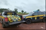 PRF apreende 340 kg de drogas em Guajará–Mirim – Vídeo