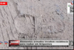 Elementos armados invadem residência para roubar em Ariquemes – Família viveu momentos de terror – Vídeo