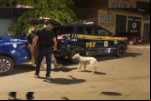 Idoso é preso pela PRF por arrastar cachorro amarrado à moto em Porto Velho