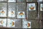 Polícia Civil de Rondônia prende suspeito de tráfico de drogas após apreensão de 20 kg de entorpecentes