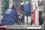 Garoto é atacado por cachorro no bairro Coqueiral em Ariquemes – Vídeo