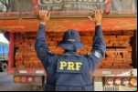 PRF em Rondônia, no último final de semana, apreendeu mais de 88 m³ de madeira transportada irregularmente