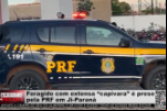 Foragido com extensa “capivara” é preso pela PRF em Ji Paraná – Vídeo
