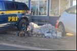 VÍDEO: Servidor público de Pimenteiras (RO) é preso com 84 kg de maconha durante abordagem em MT