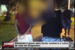 Elemento é preso após furtar cachorro e caixa de som em Ariquemes – Vídeo