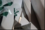 Ação rápida da PM resulta na prisão de suspeito de estupro, extorsão e tentativa de roubo em Cujubim