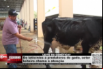 LEITE OU GENÉTICA? – De laticínios a produtores de gado, setor leiteiro chama a atenção – Vídeo