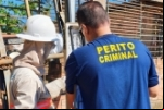 Em apenas três cidades, 11 pessoas foram presas em Rondônia no mês de maio