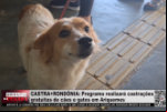 CASTRA+RONDÔNIA – Programa realizará castrações gratuitas de cães e gatos em Ariquemes – Vídeo