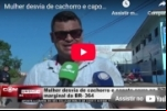 Mulher desvia de cachorro e capota carro na marginal da BR–364